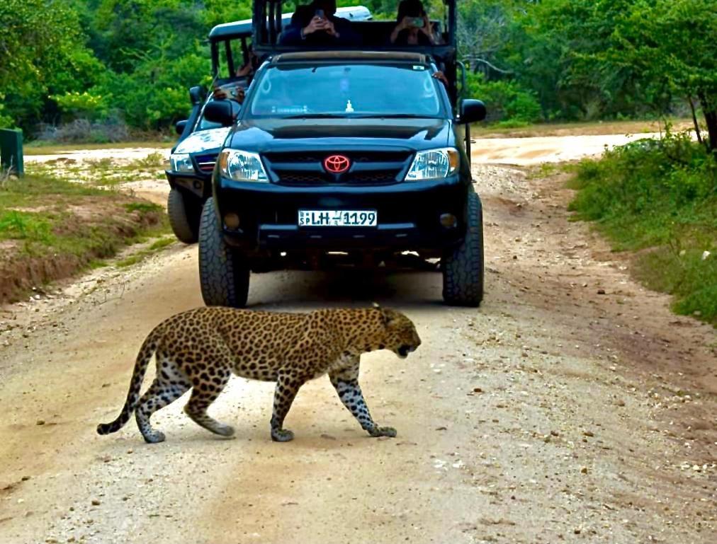 Yala Safari Village Maha Akurugoda Eksteriør billede